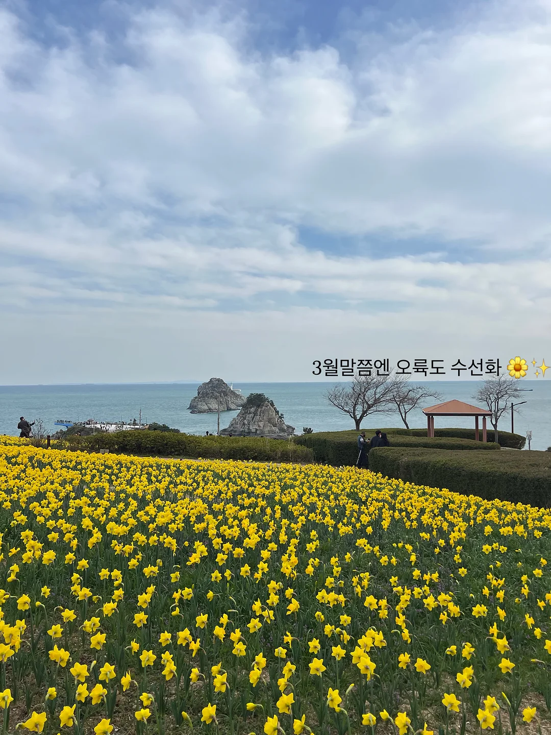브라우니벙거지 썸머 버킷햇 7