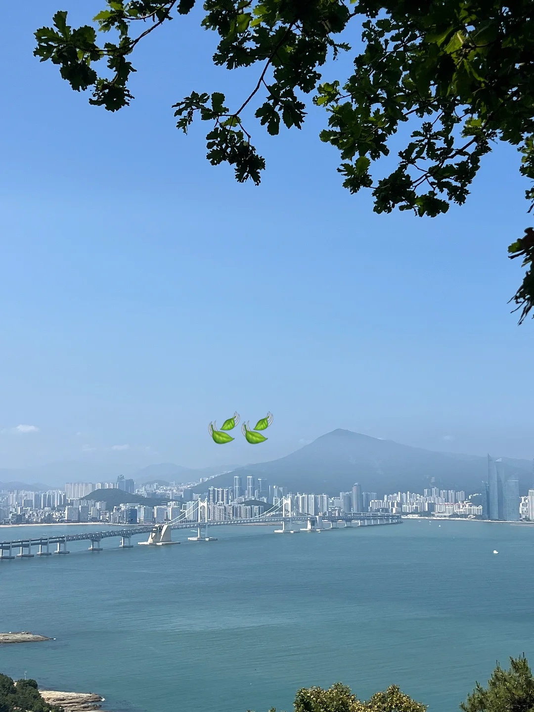 브라우니벙거지 썸머 버킷햇 10