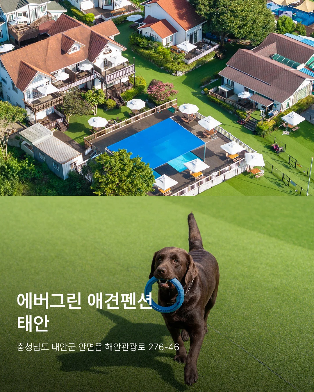 아무로키 X 휴그 인형 보조배터리 6