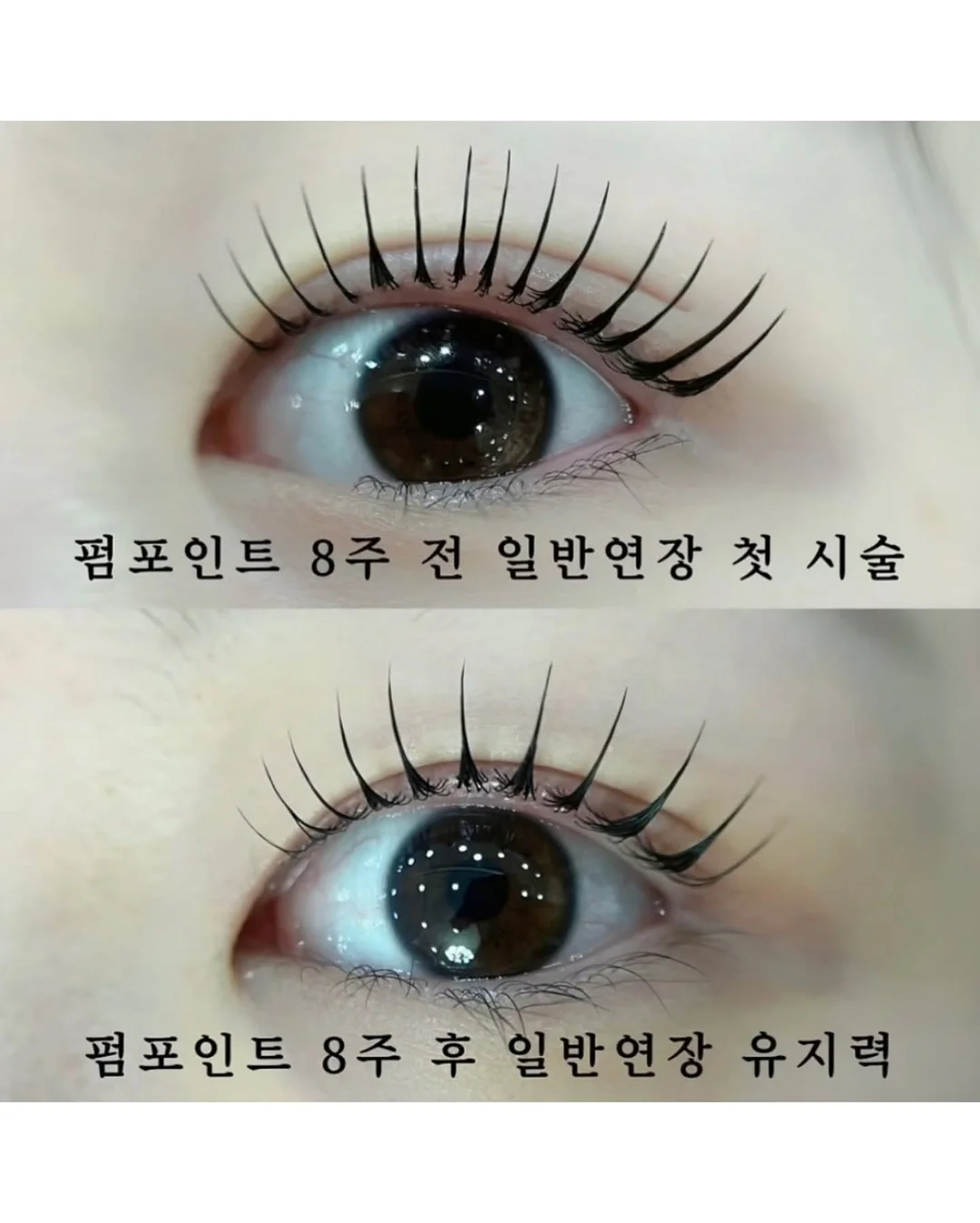 탈탈 팬츠 4