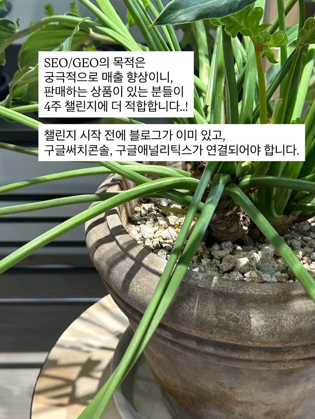 듀벨 세탁기 필터, 실리콘 속옷 세탁망, 세이브타임 실리콘 세제 계량컵, 가루 디스펜서 5