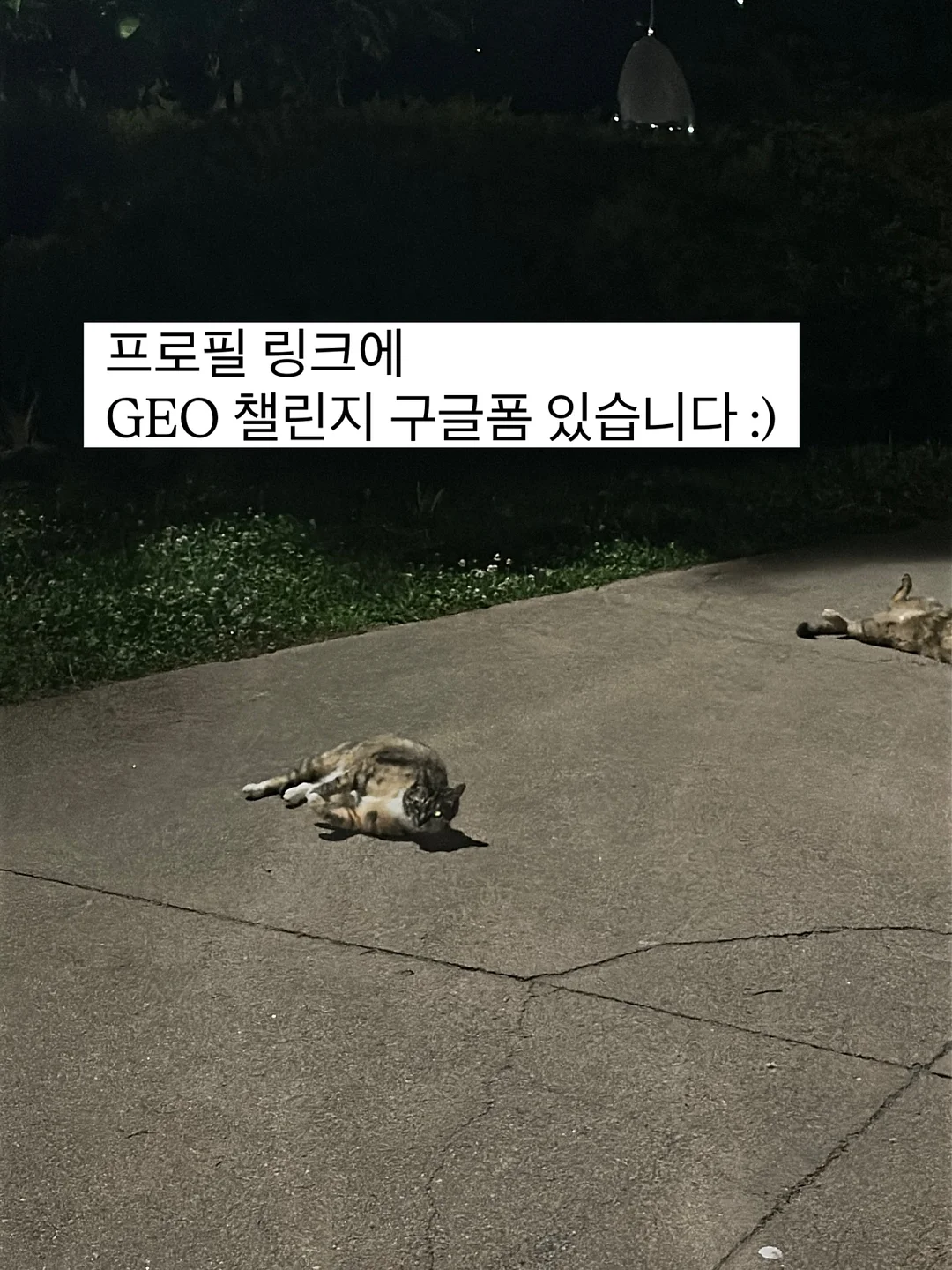 듀벨 세탁기 필터, 실리콘 속옷 세탁망, 세이브타임 실리콘 세제 계량컵, 가루 디스펜서 7