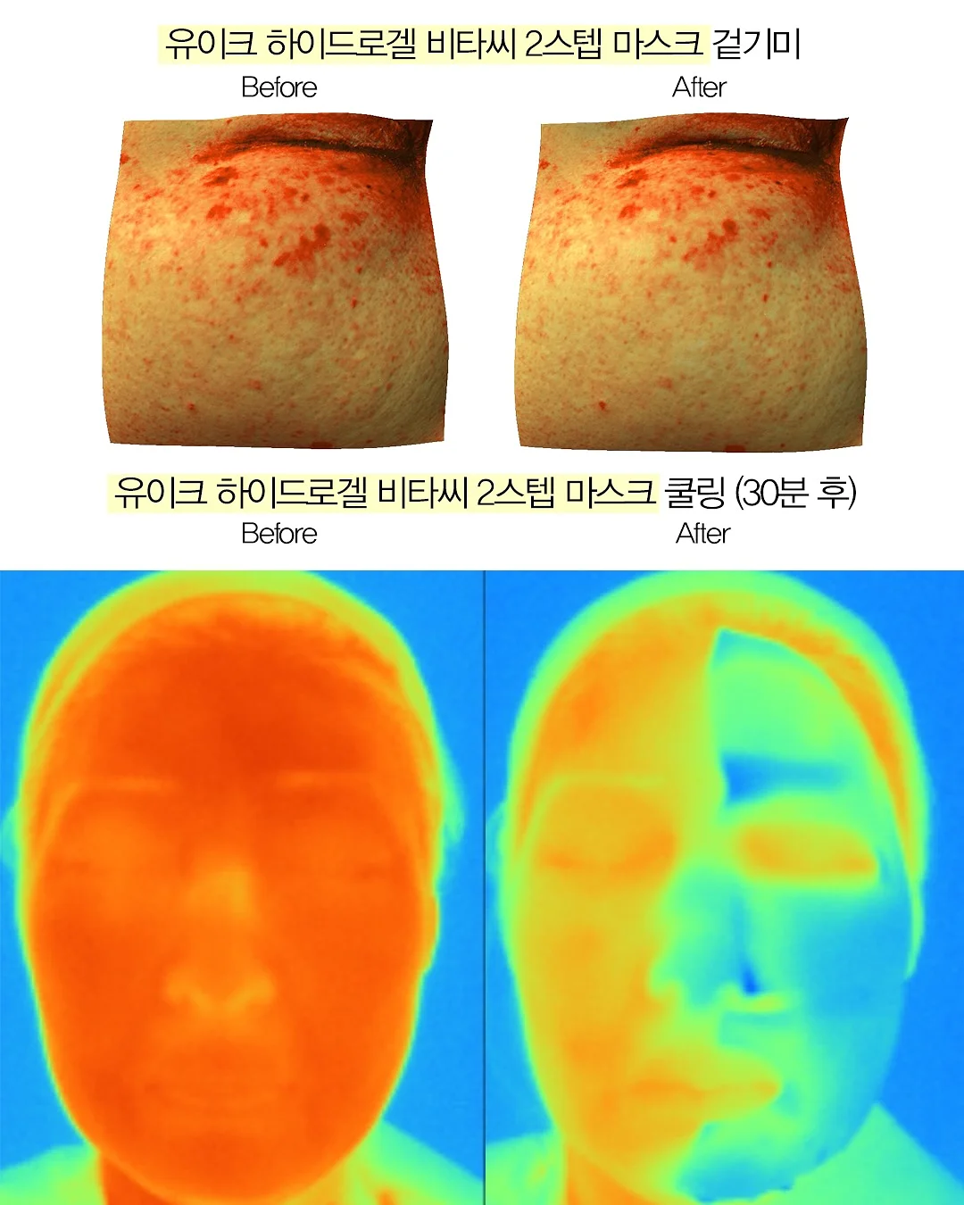 허스키 개썰매 12