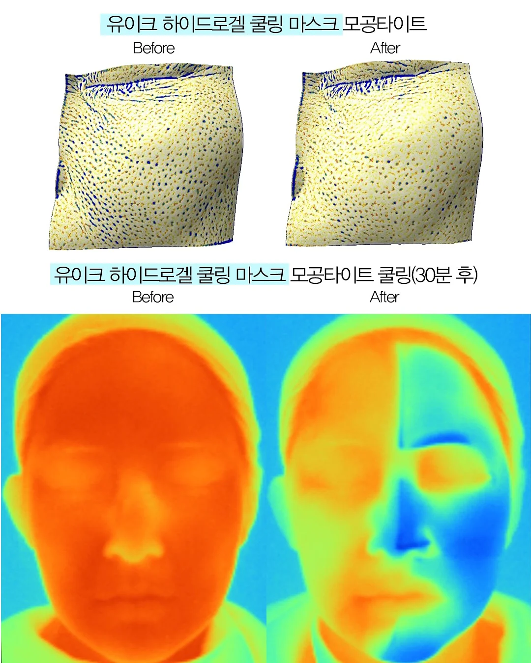 허스키 개썰매 13