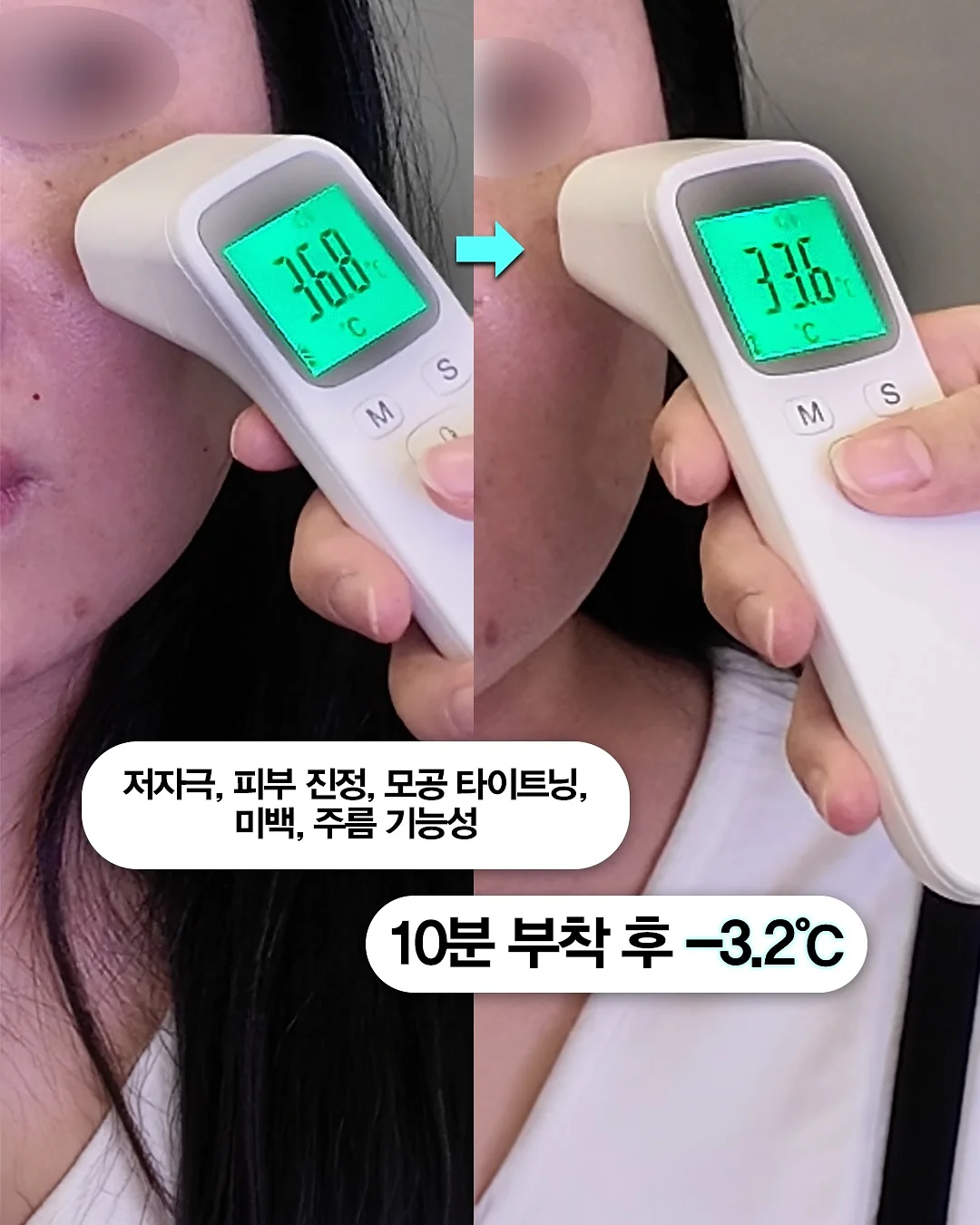 허스키 개썰매 7