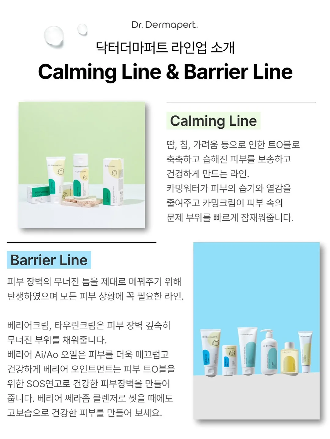 기념일 케이크 9