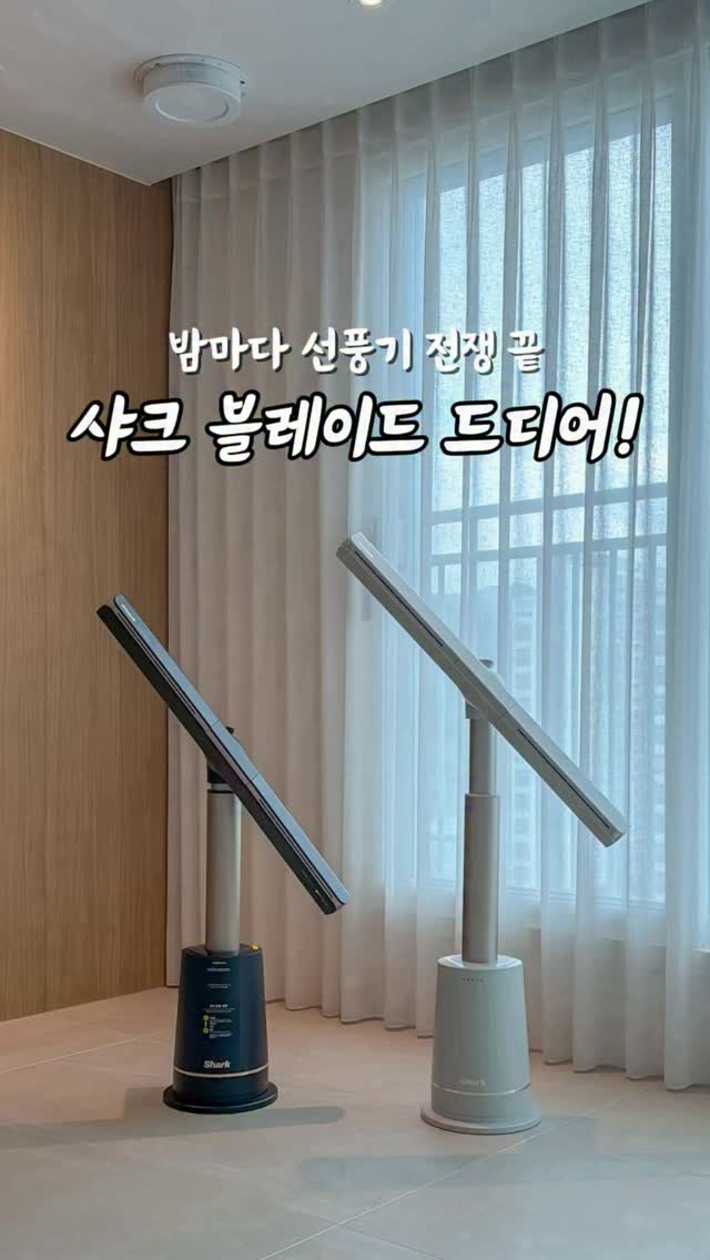 나시 고쟁이