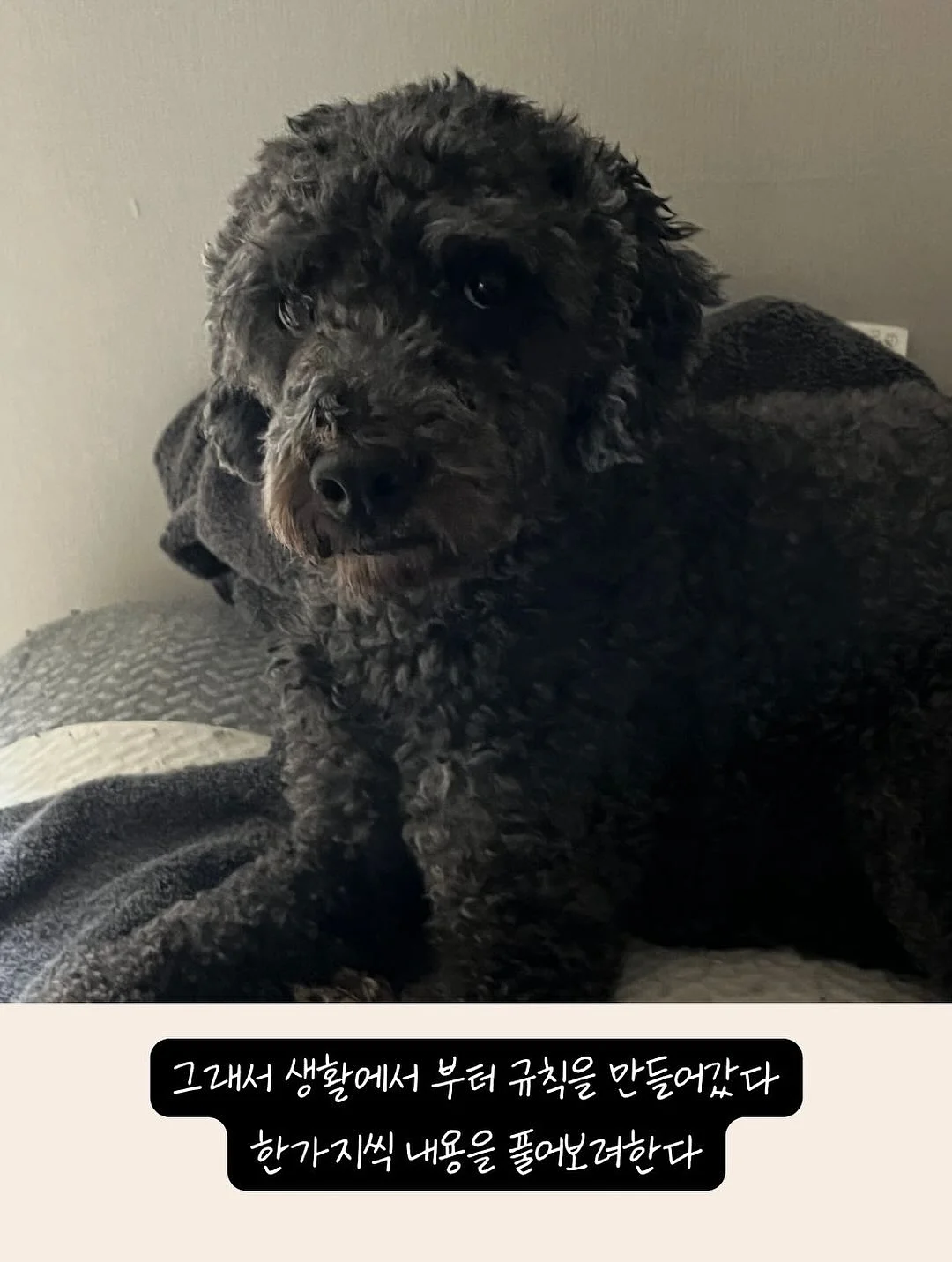 나는 부동산에 가지 않고 SNS로 분양권을 산다 3