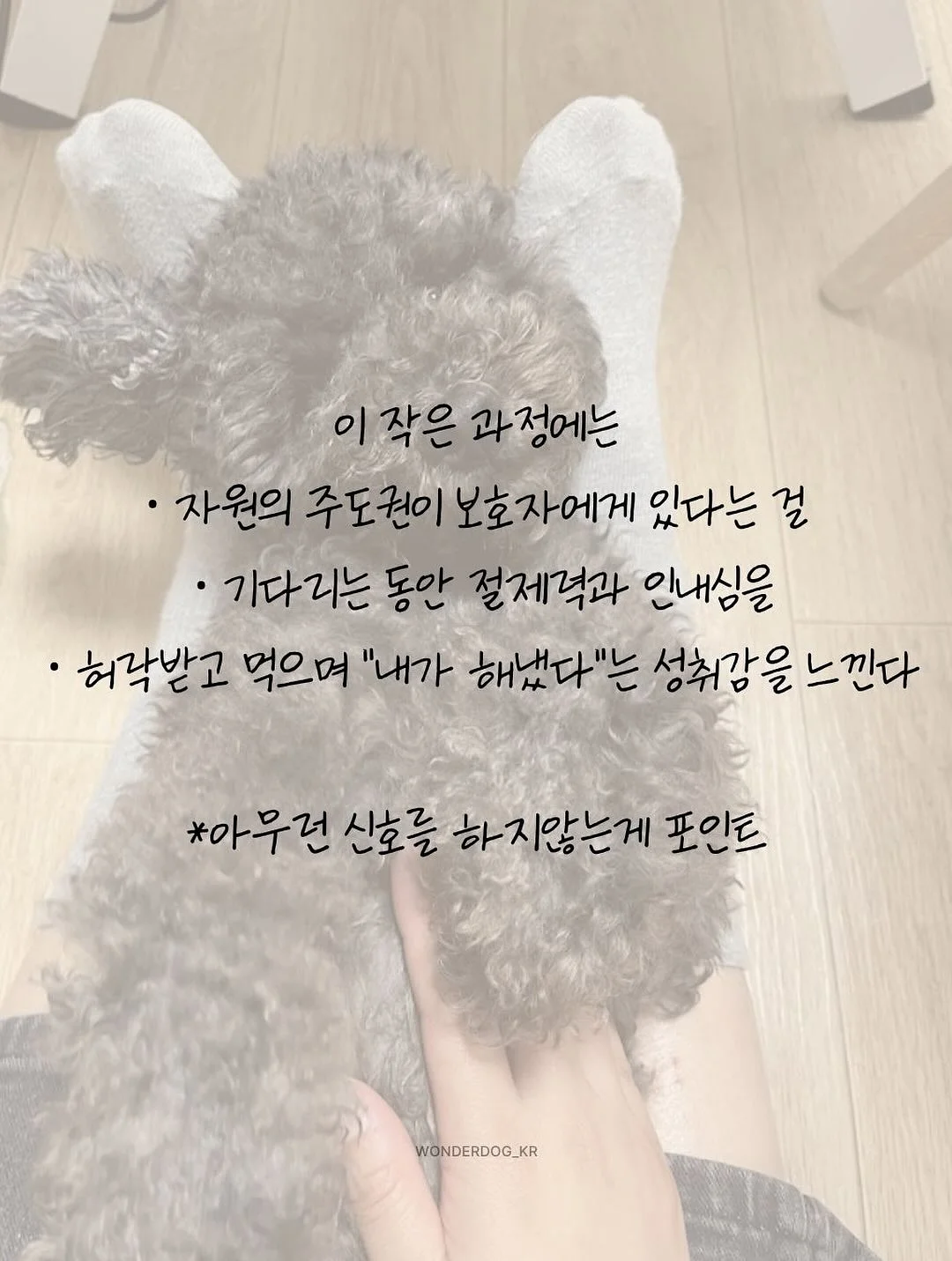 나는 부동산에 가지 않고 SNS로 분양권을 산다 5