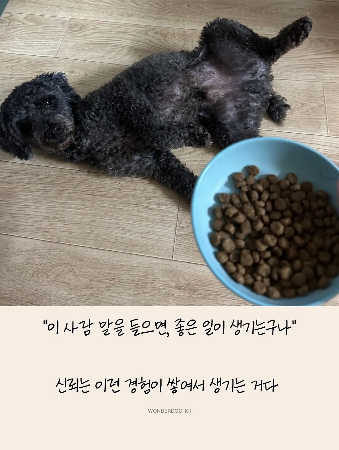 나는 부동산에 가지 않고 SNS로 분양권을 산다 7