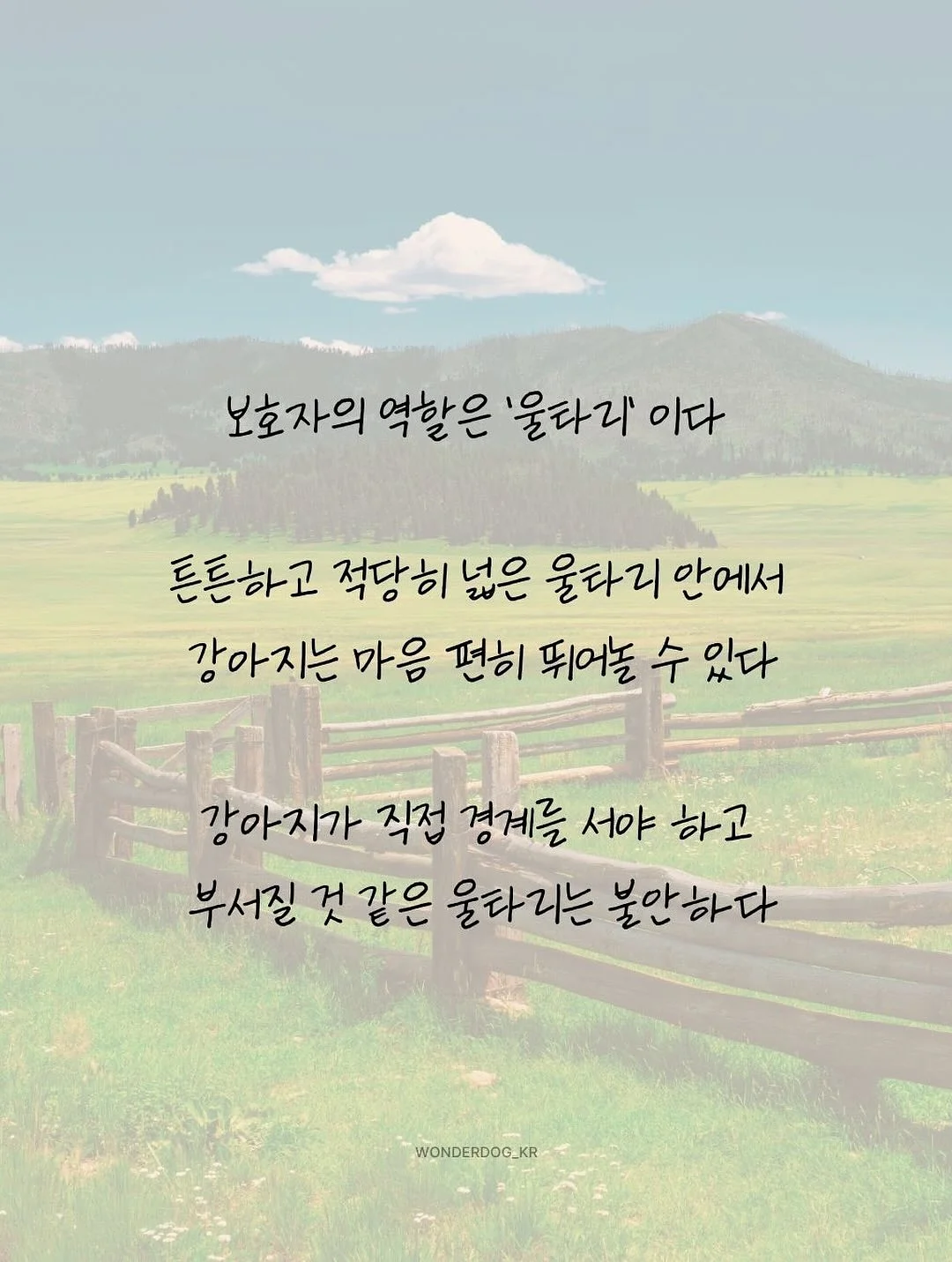 나는 부동산에 가지 않고 SNS로 분양권을 산다 8