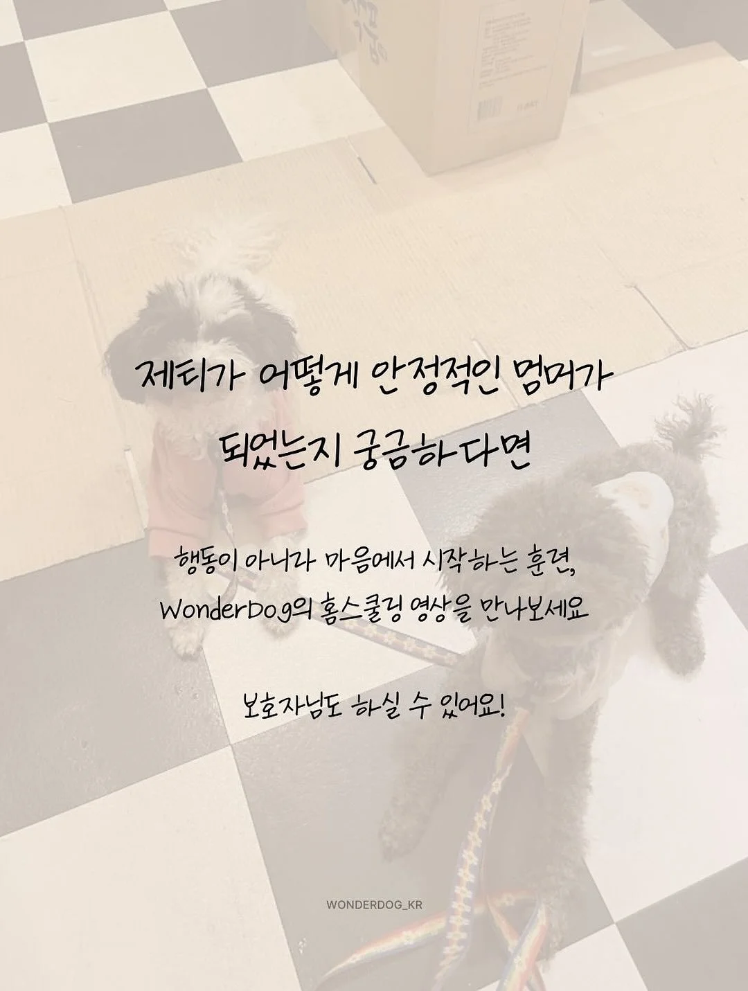 나는 부동산에 가지 않고 SNS로 분양권을 산다 9
