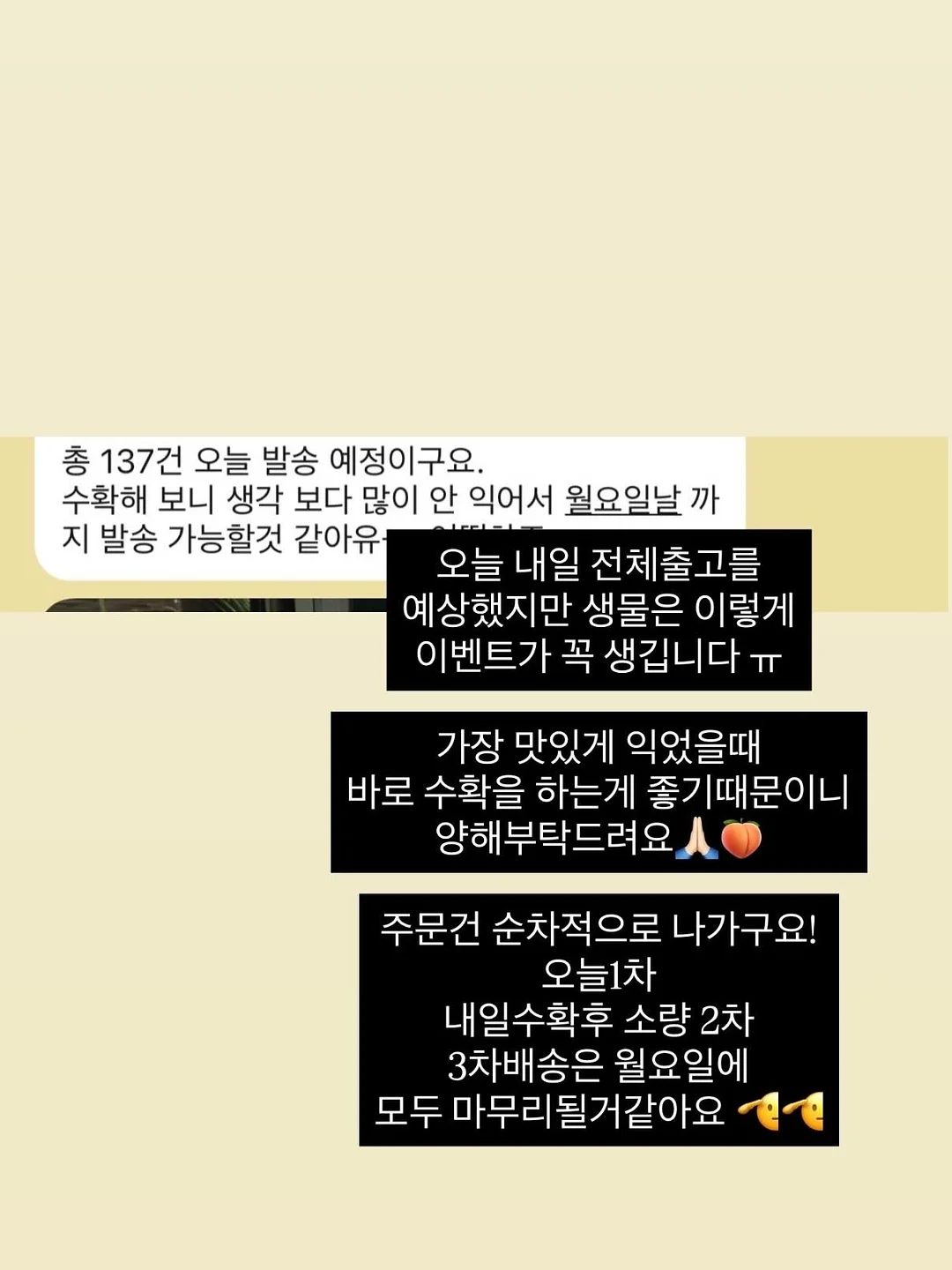 하객룩 코디 3
