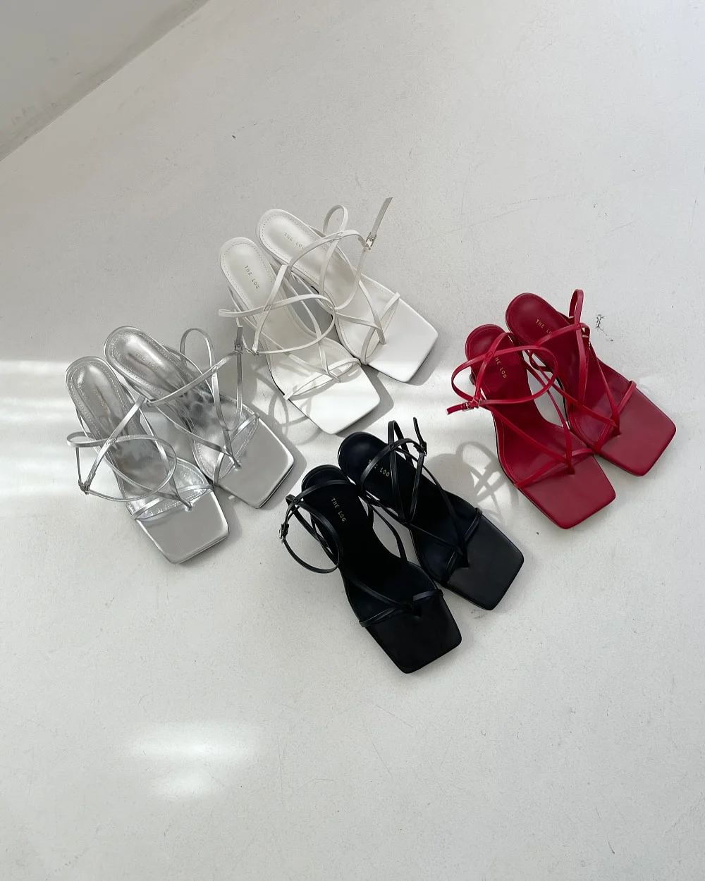 콩란 12