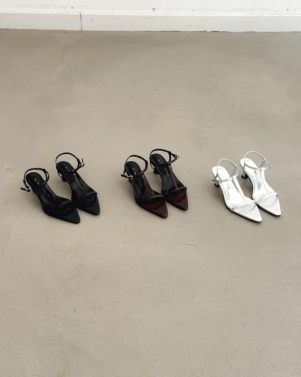콩란 10