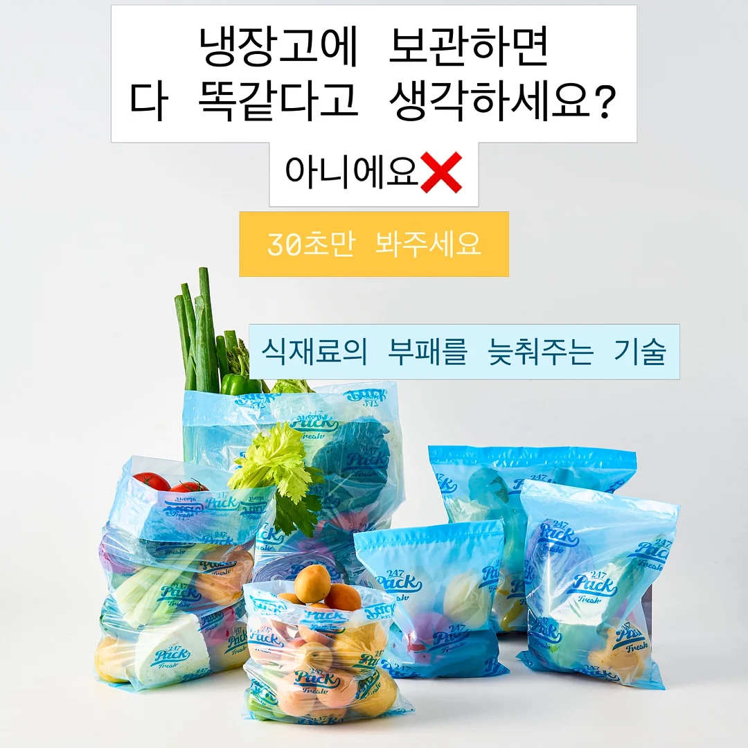 한송이 카네이션 1