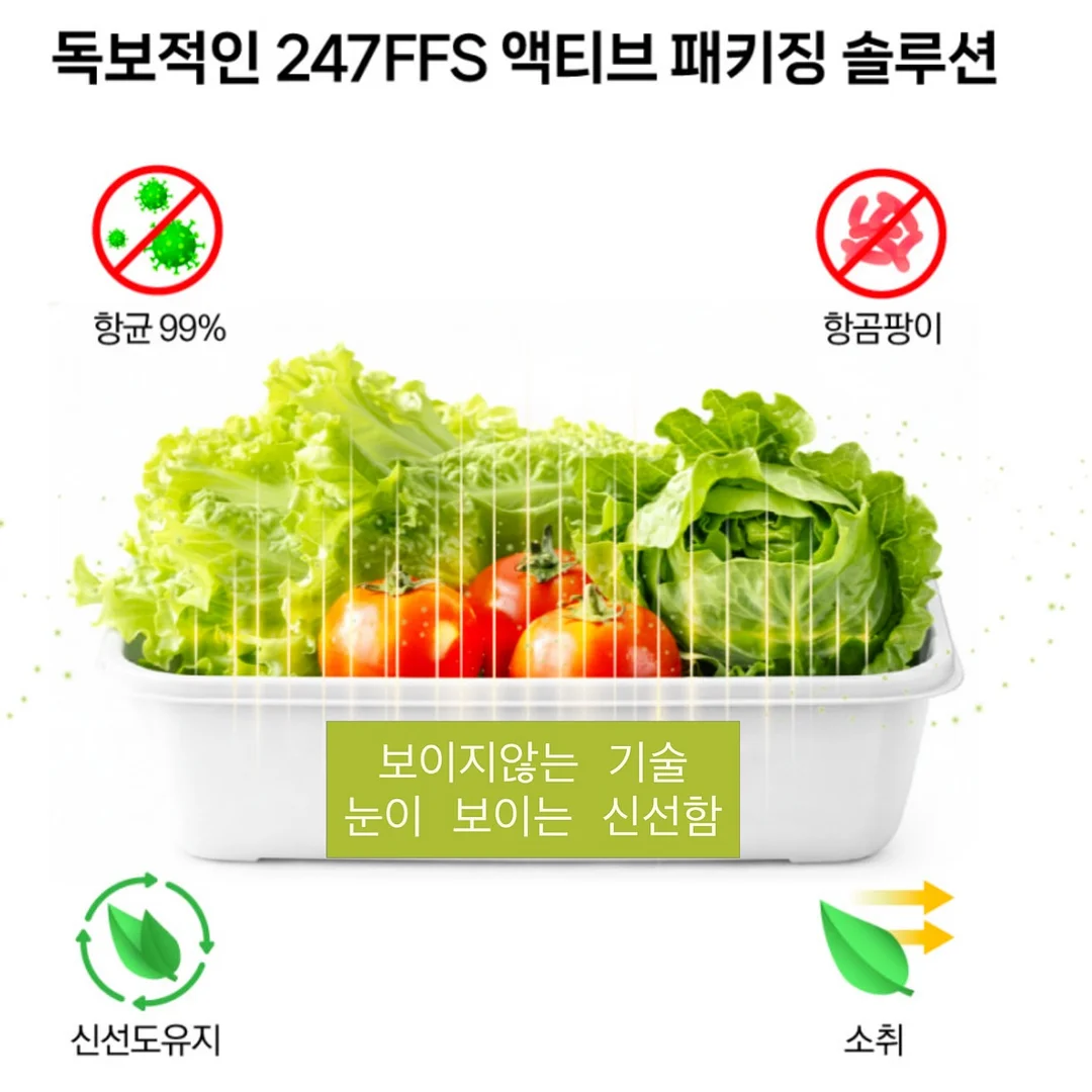 한송이 카네이션 4