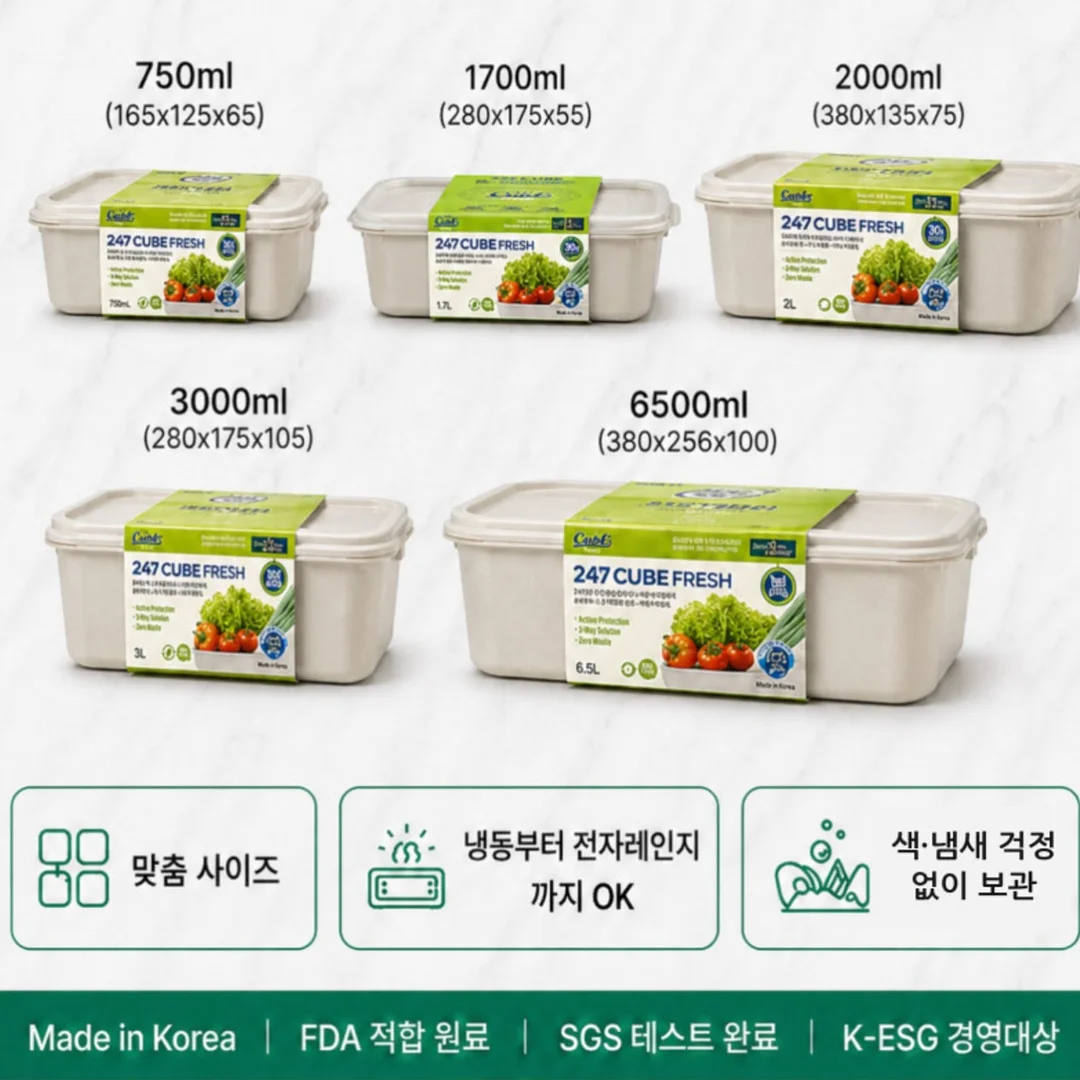 한송이 카네이션 5