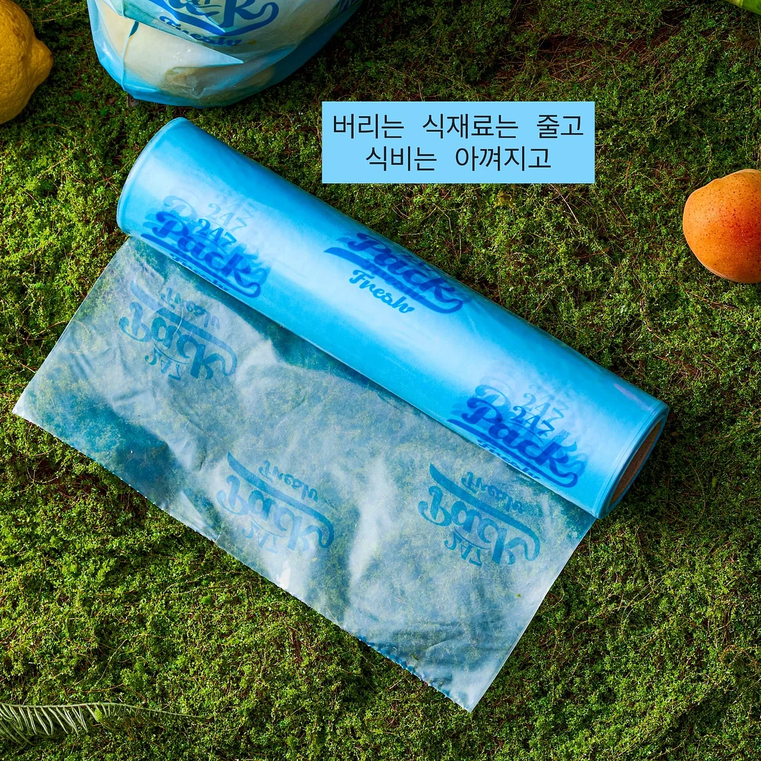 한송이 카네이션 8