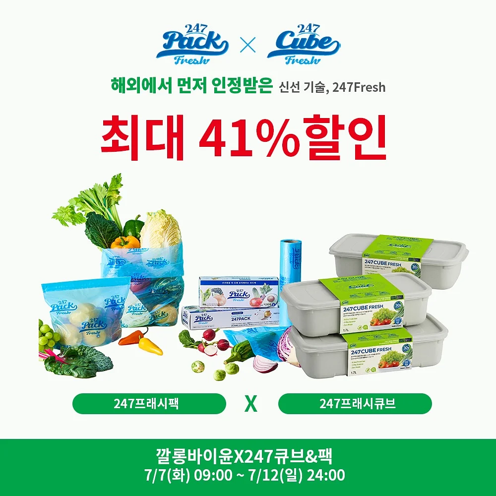 한송이 카네이션 10