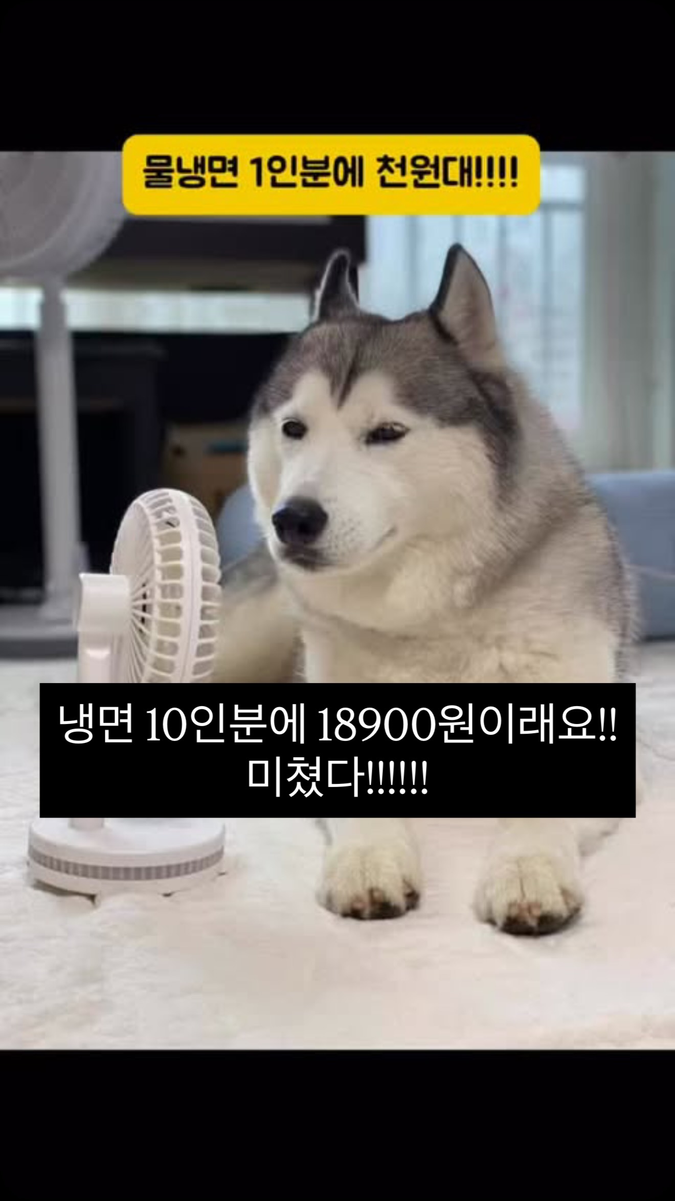 가지 요리