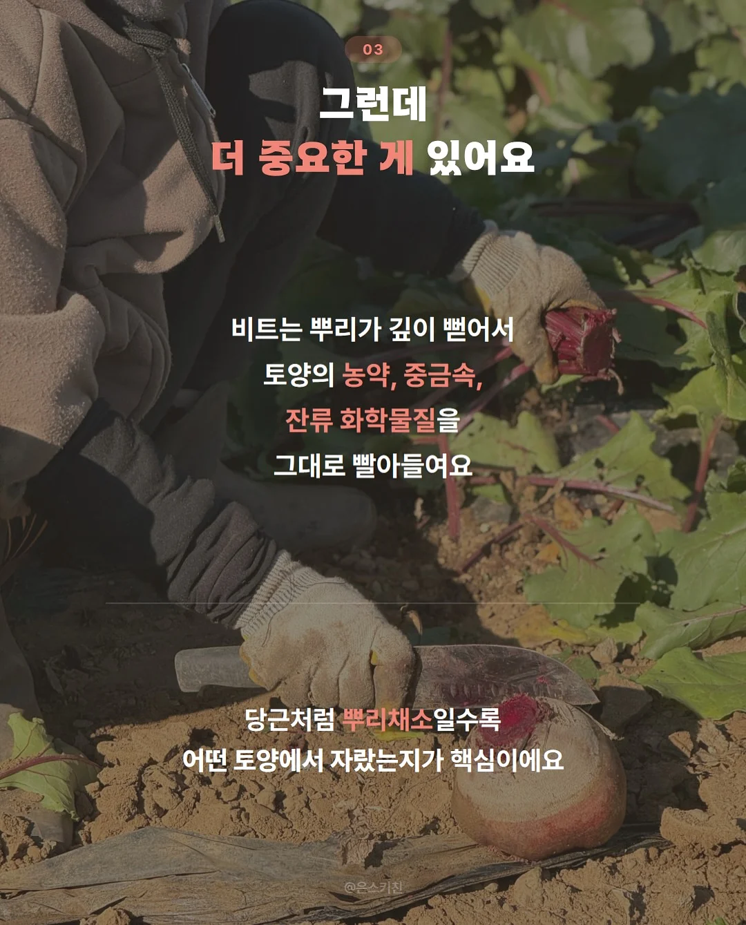 8체질 자가 진단과 일상 속 밥상 혁명 가이드 3
