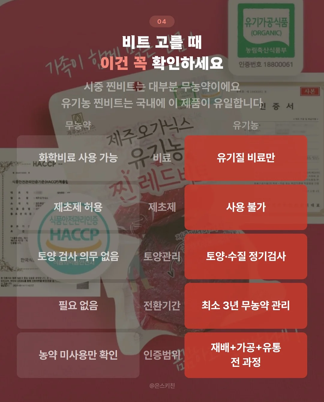 8체질 자가 진단과 일상 속 밥상 혁명 가이드 4