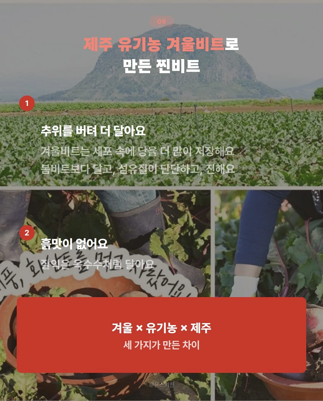 8체질 자가 진단과 일상 속 밥상 혁명 가이드 5