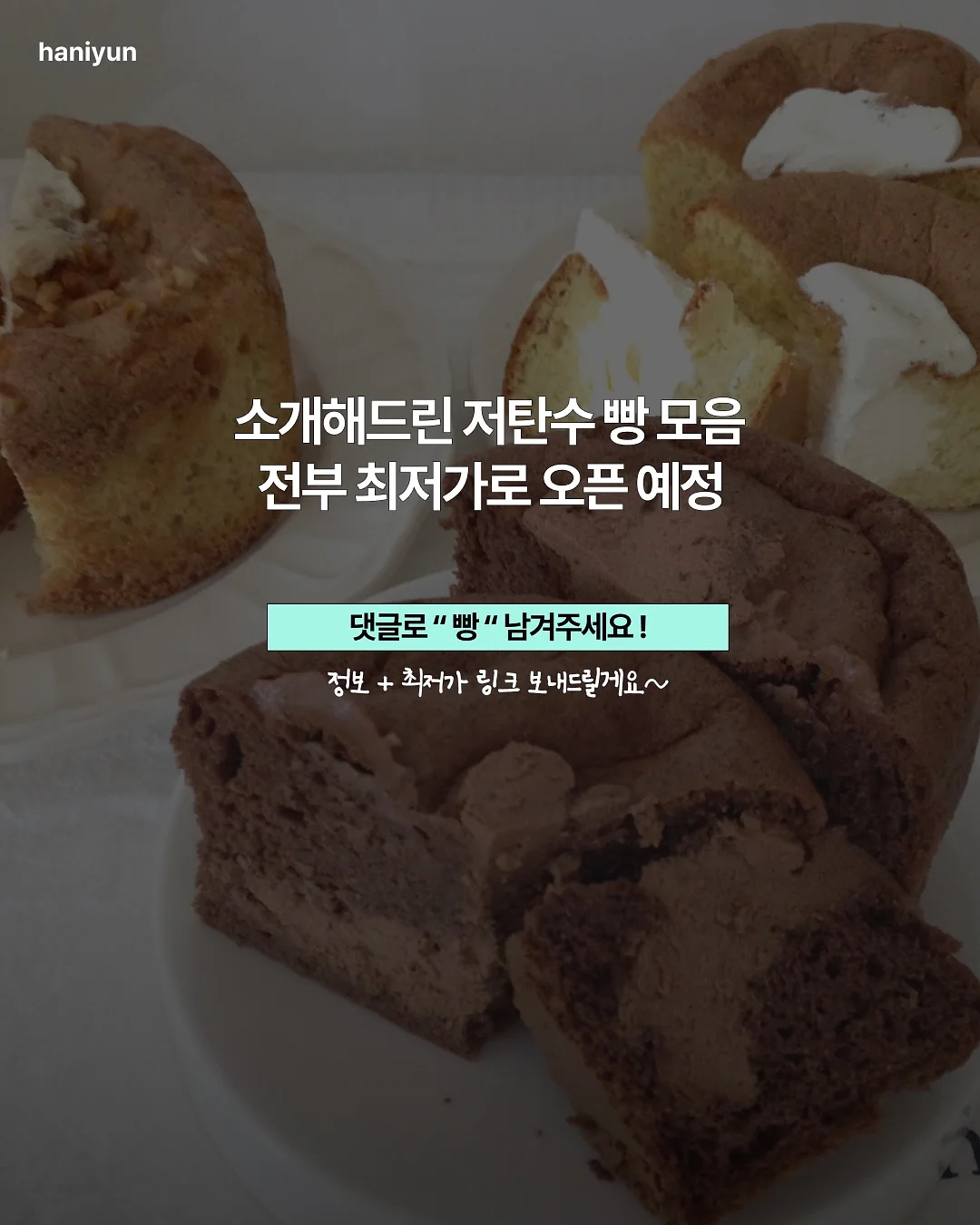 토리 노르웨이숲 탈취제 10