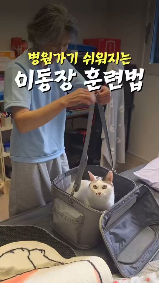 웨딩스냅 촬영