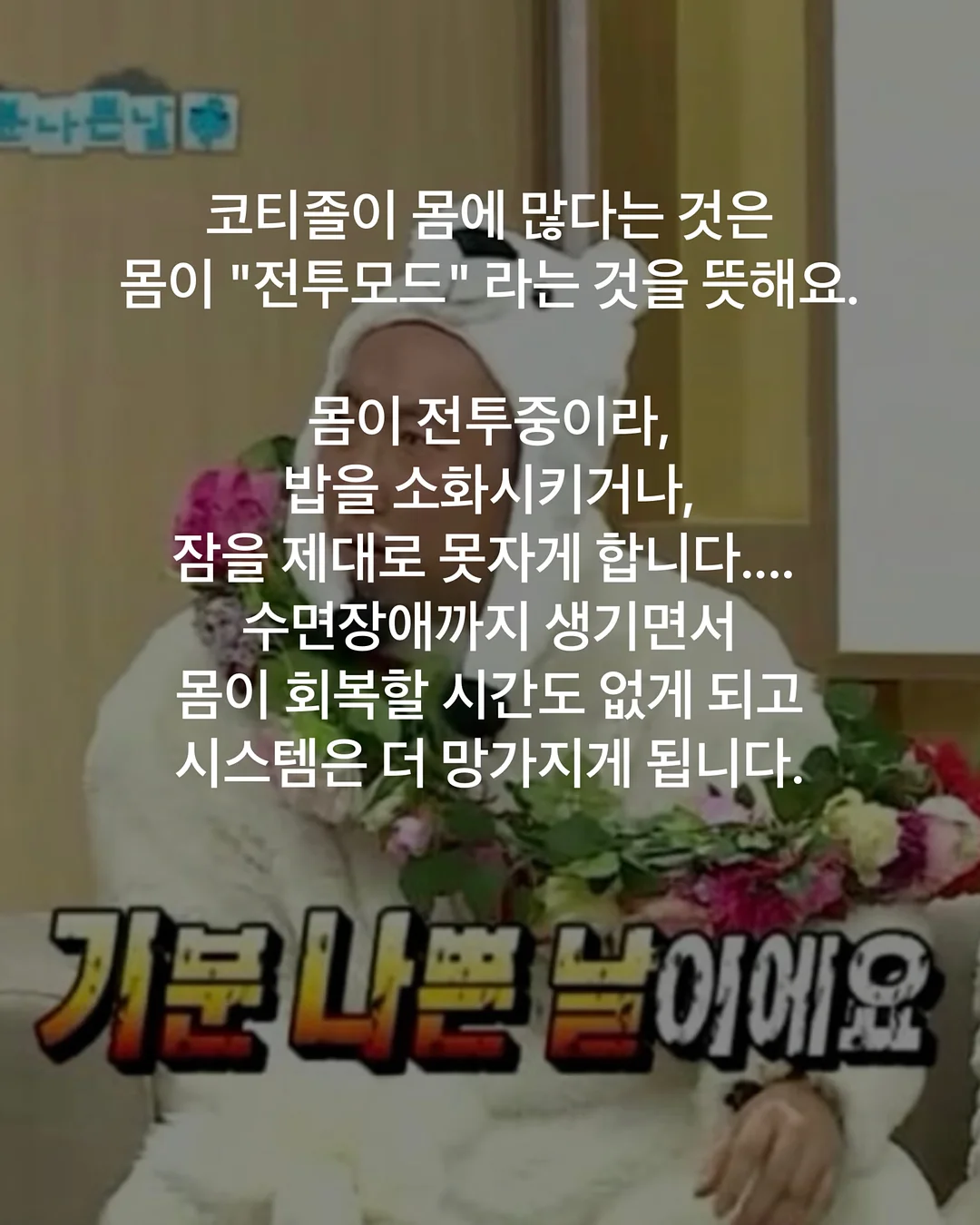 생물갈치 8