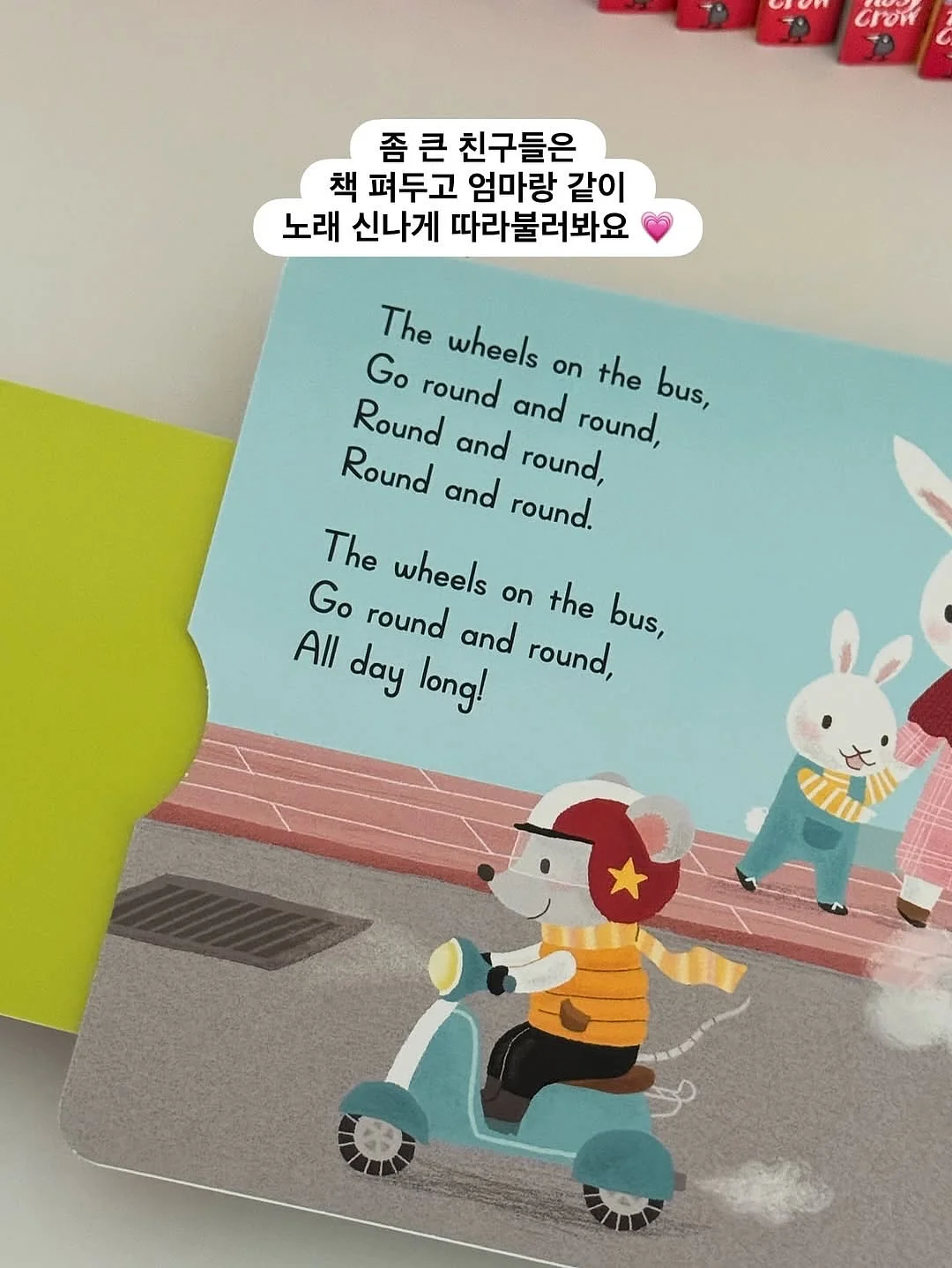 로메인상추 따기 체험 18