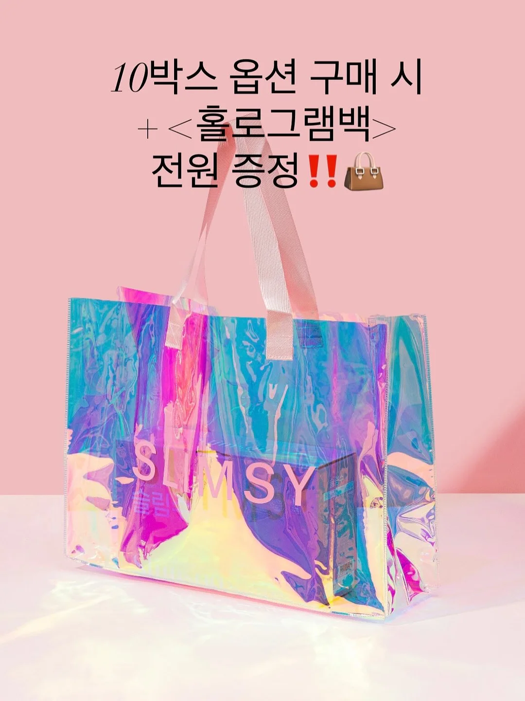 바퀴달린 장바구니 캐리어 2