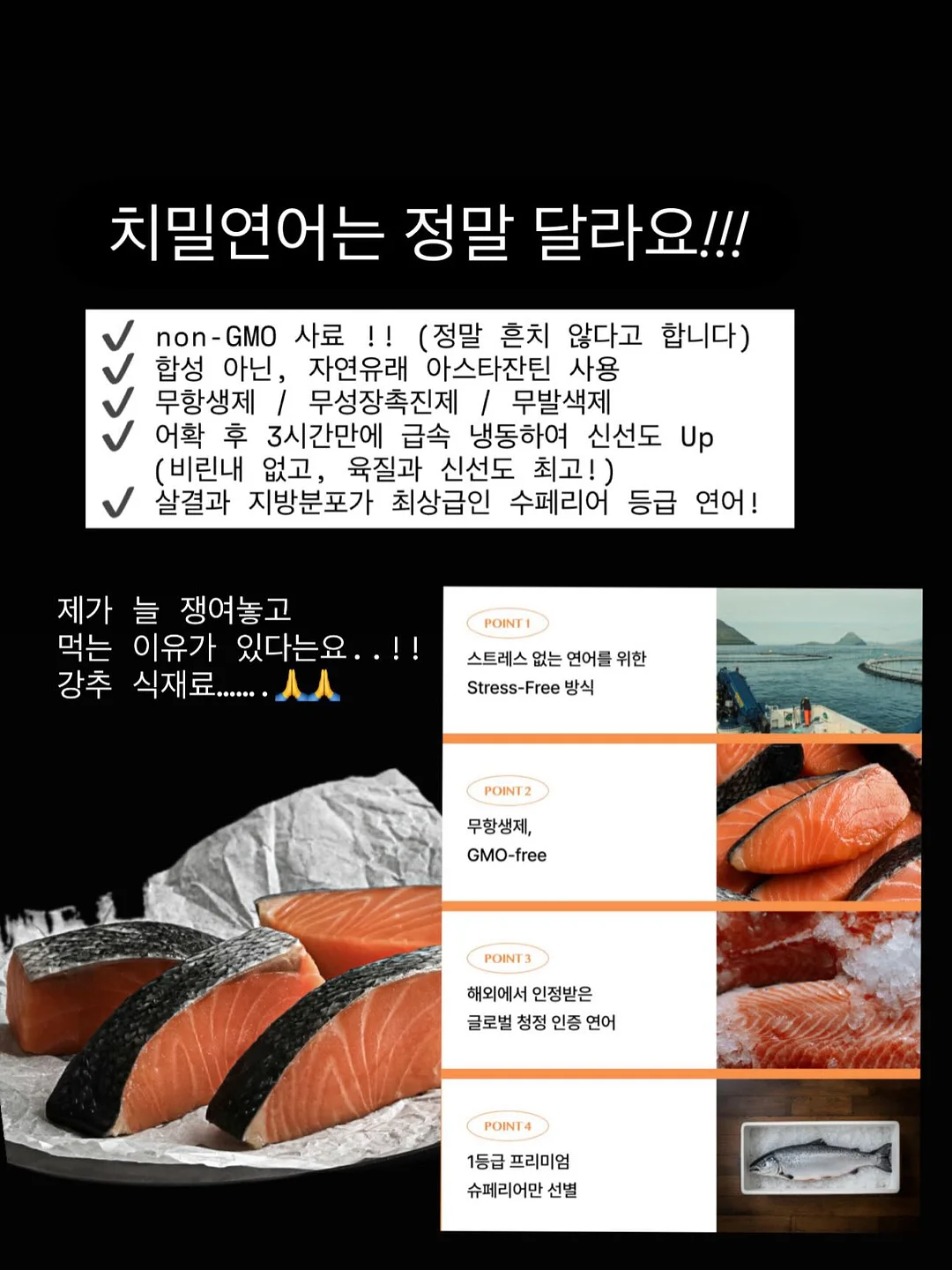 아가뜨 홀터넥 롱 원피스 8