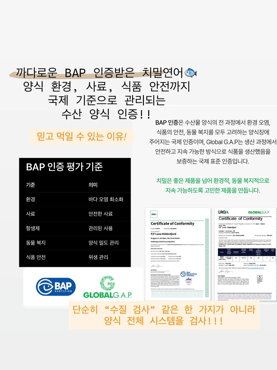 아가뜨 홀터넥 롱 원피스 9