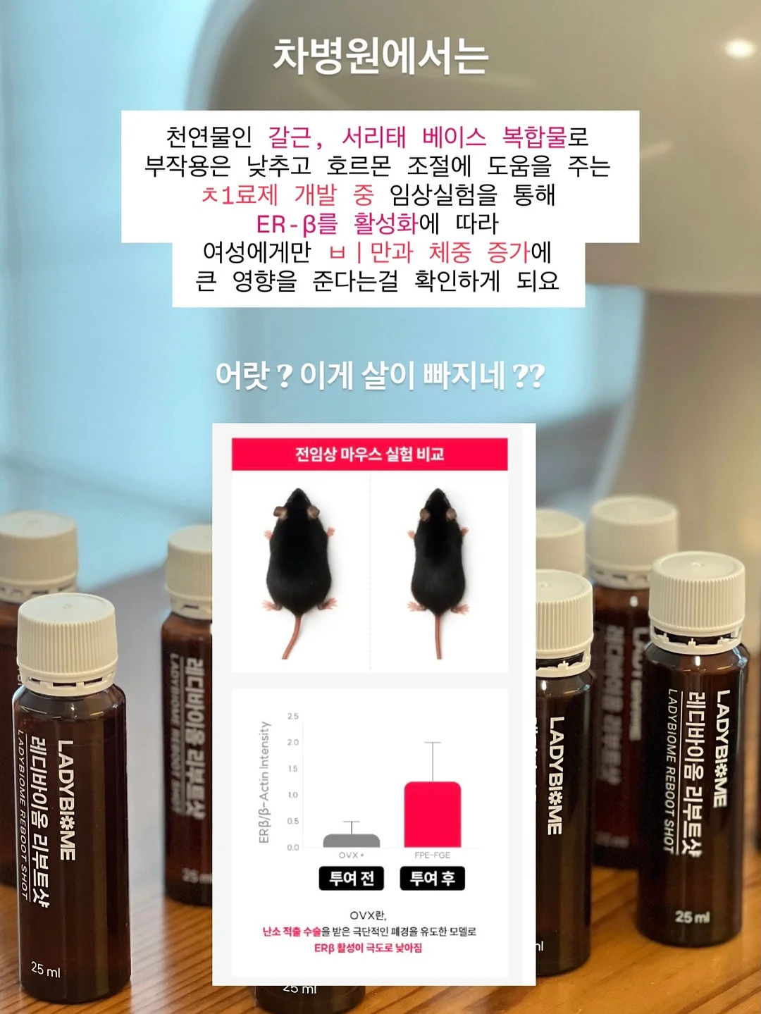 싱크대 도마 거치대 5