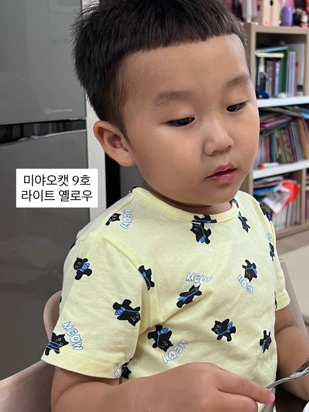 심리학 고양이 님 강연 2