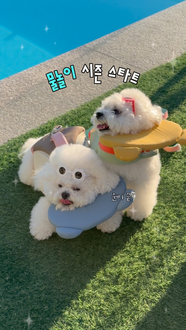 마르카토 안경