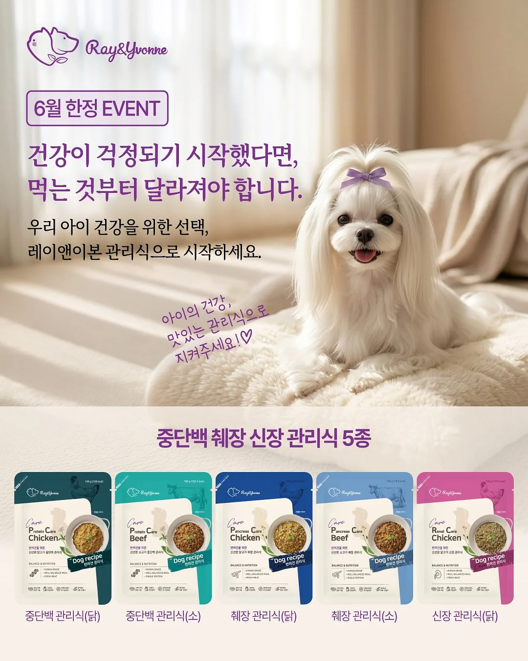 우리 동네 활동지 30종 1