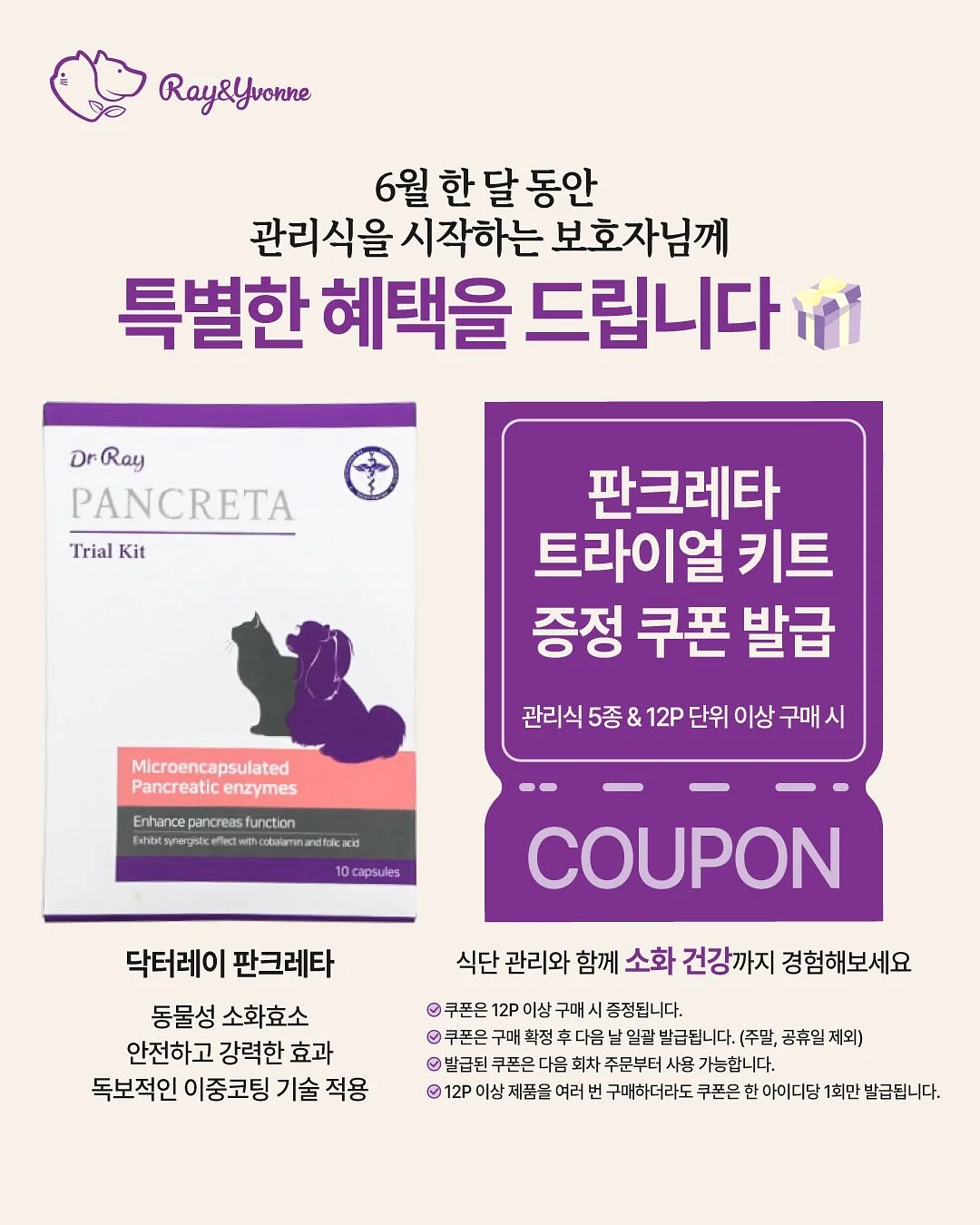 우리 동네 활동지 30종 2