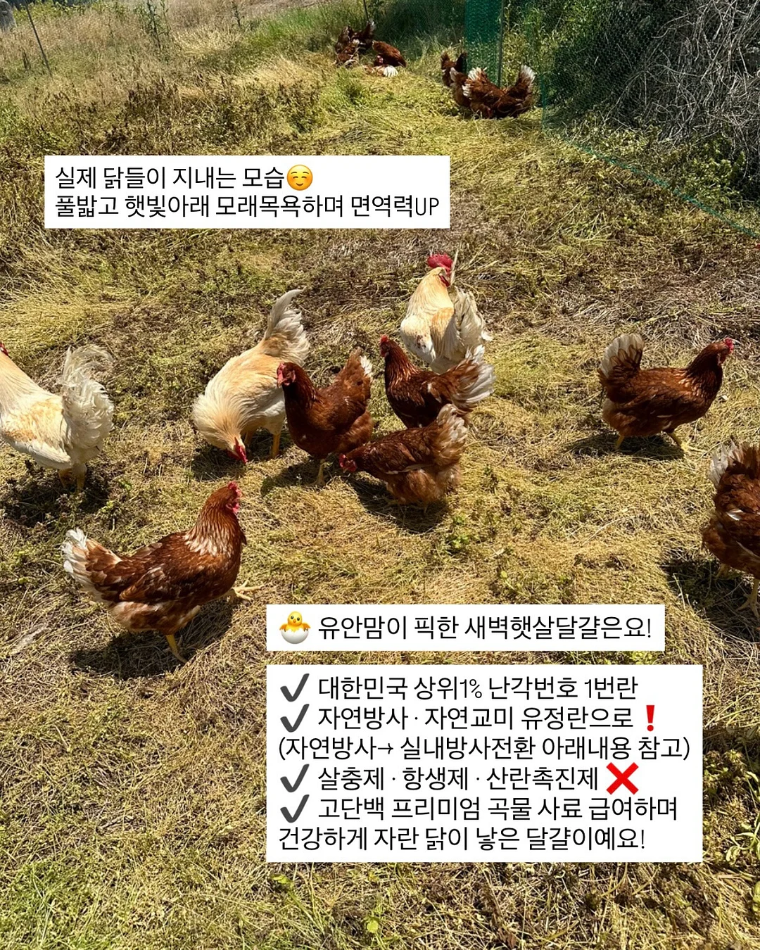 아동복 4
