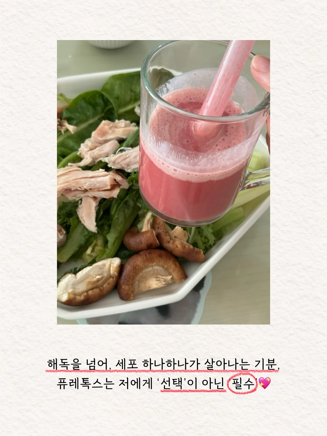 네이비 블루종 5