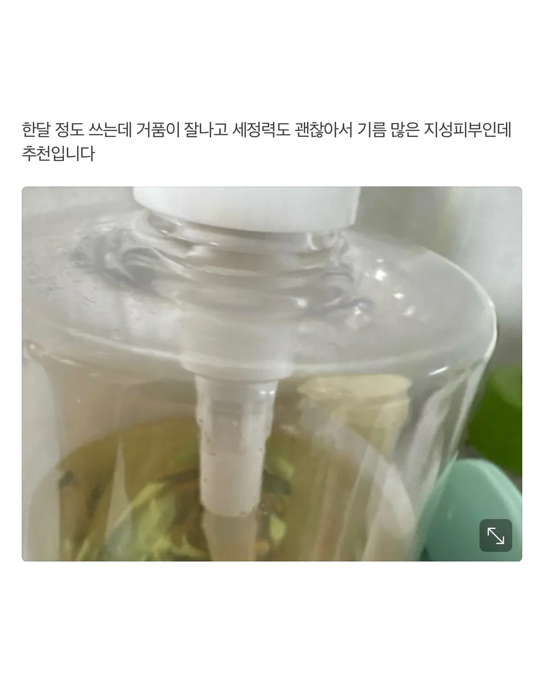 봄 스냅 4