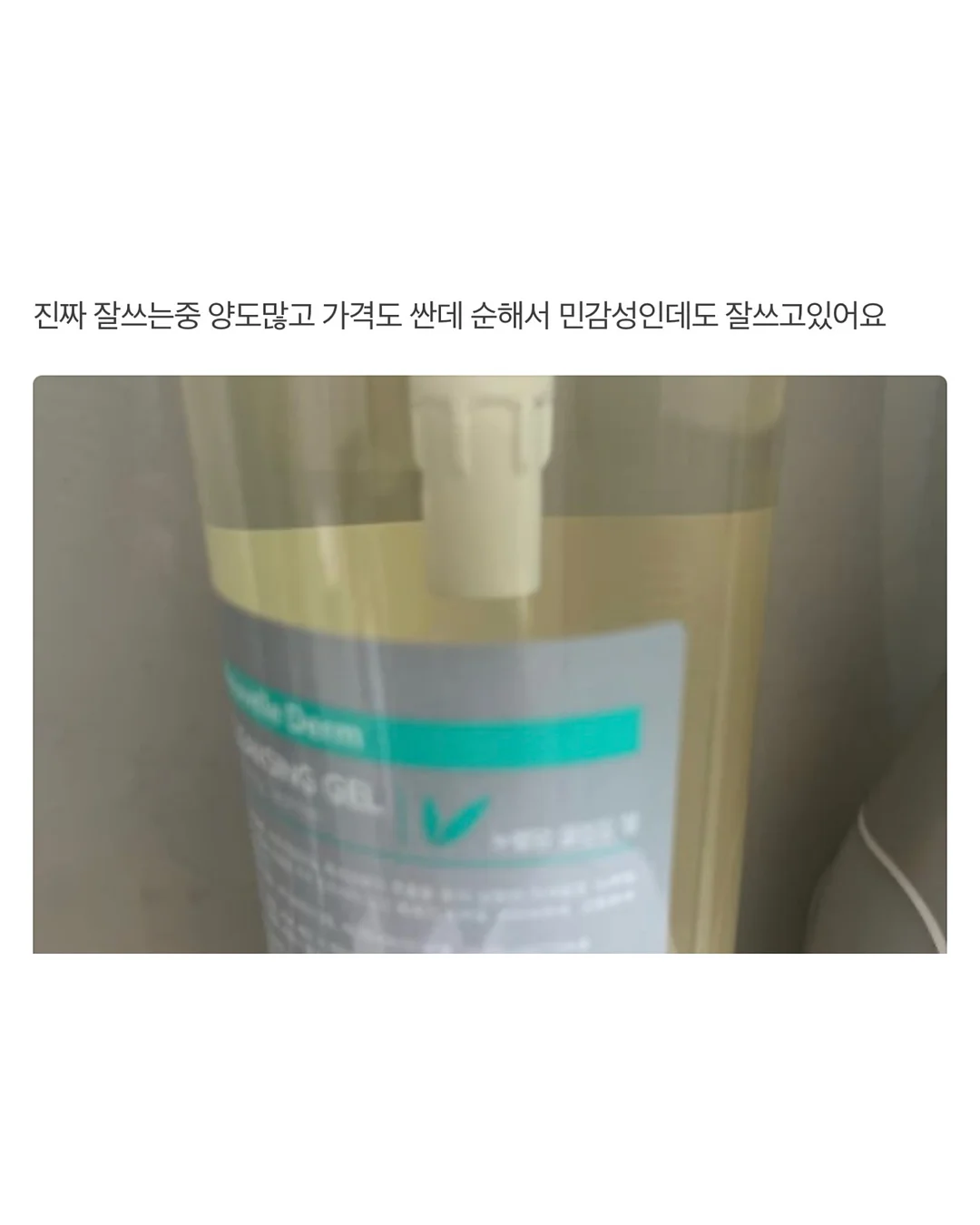 봄 스냅 7