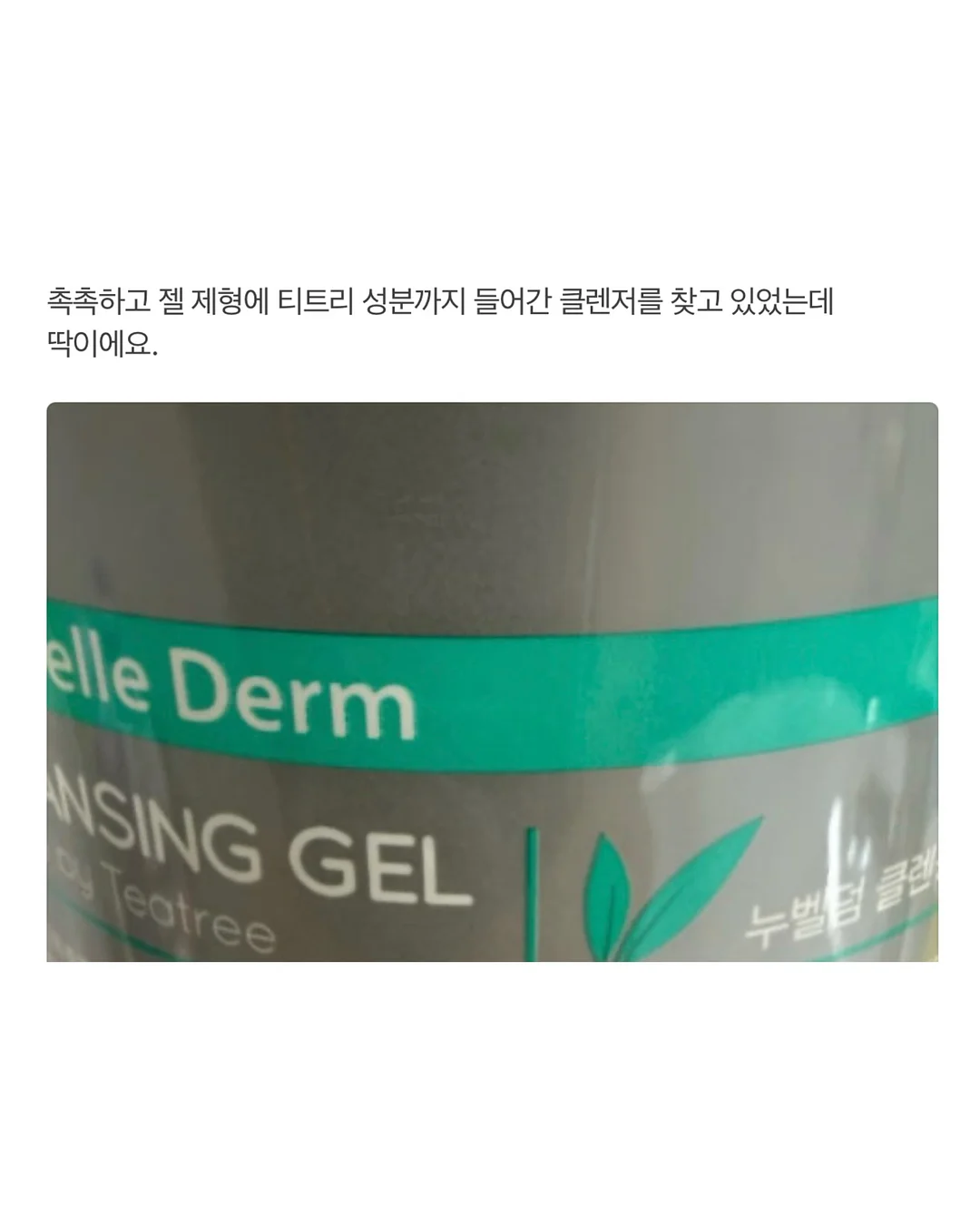 봄 스냅 10
