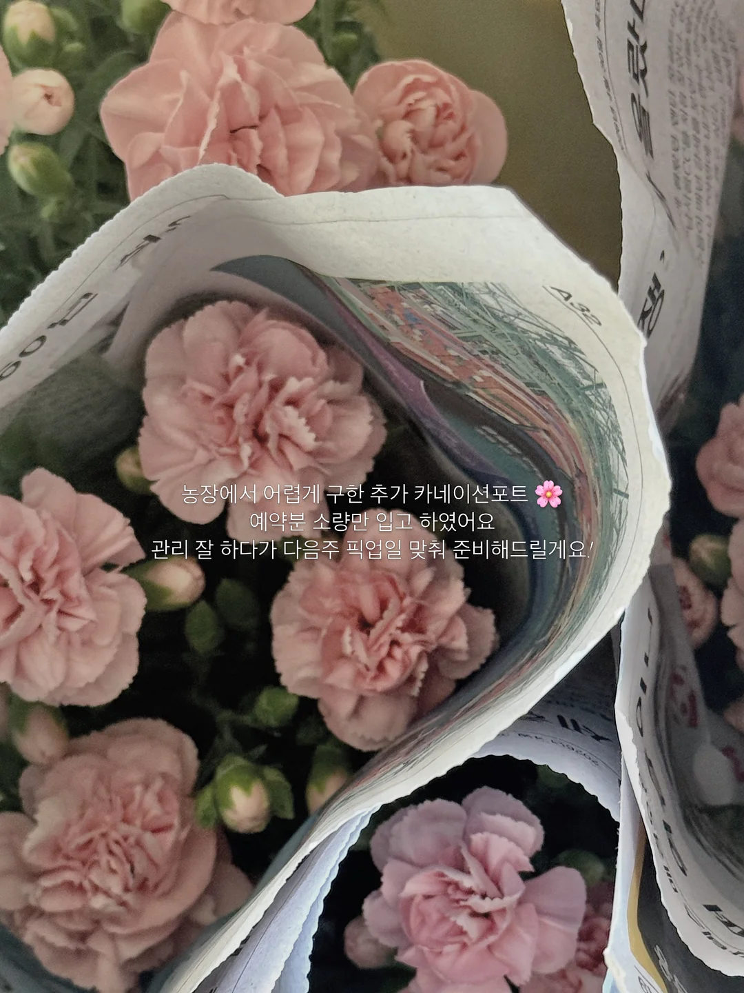 여유를 훔치는 방법 7