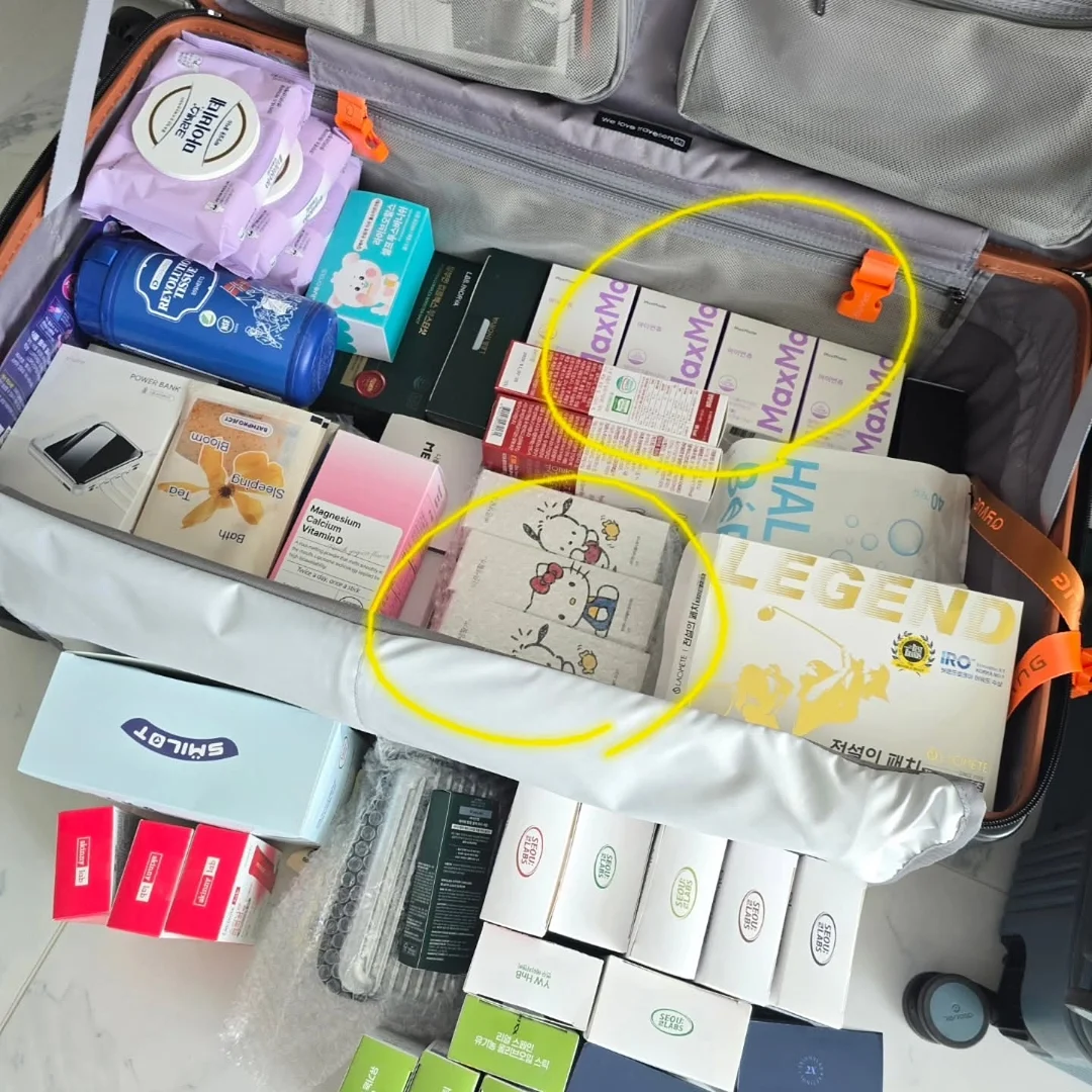 고양이 모래 1
