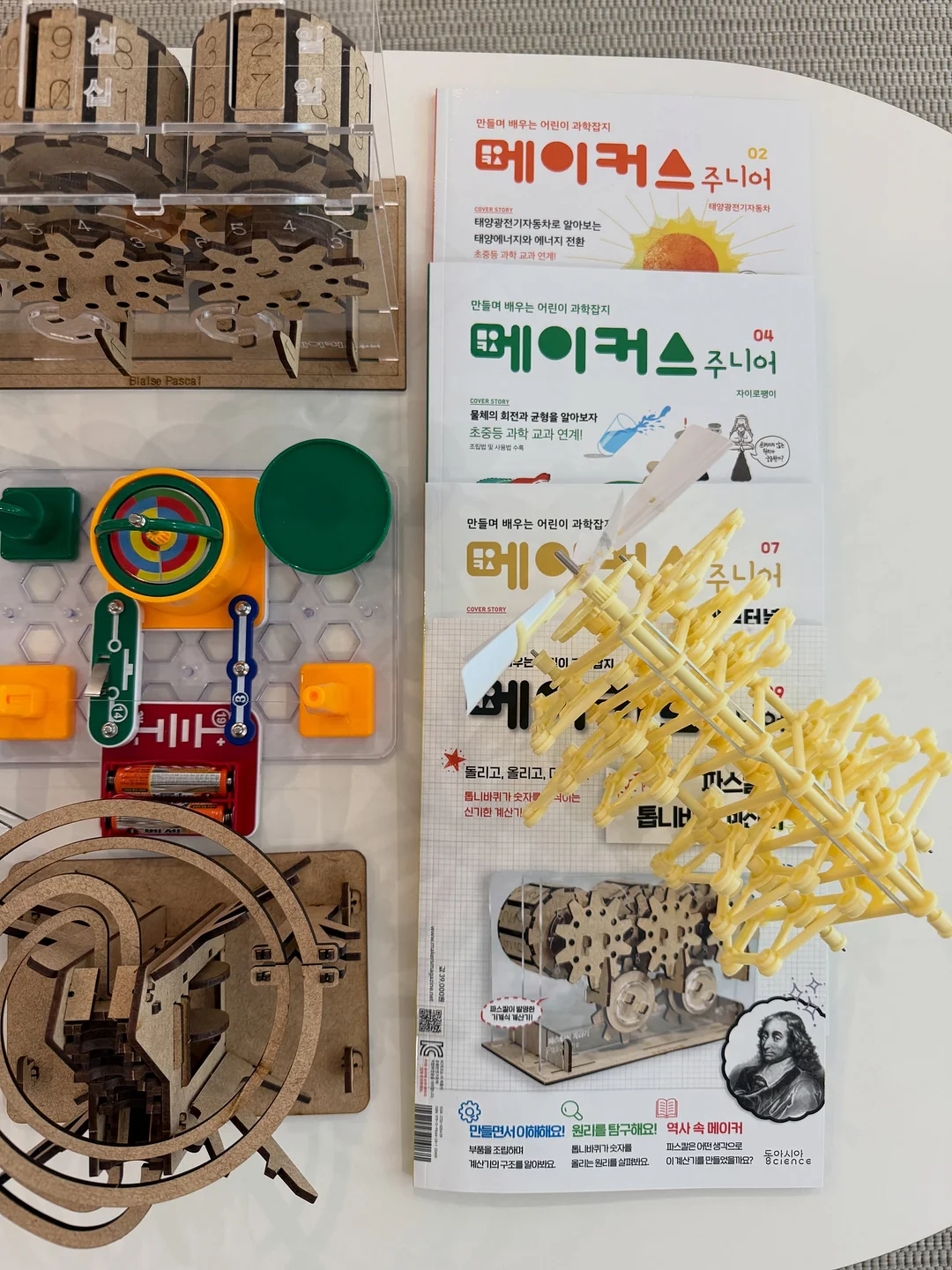 포켓픽 블러셔 5
