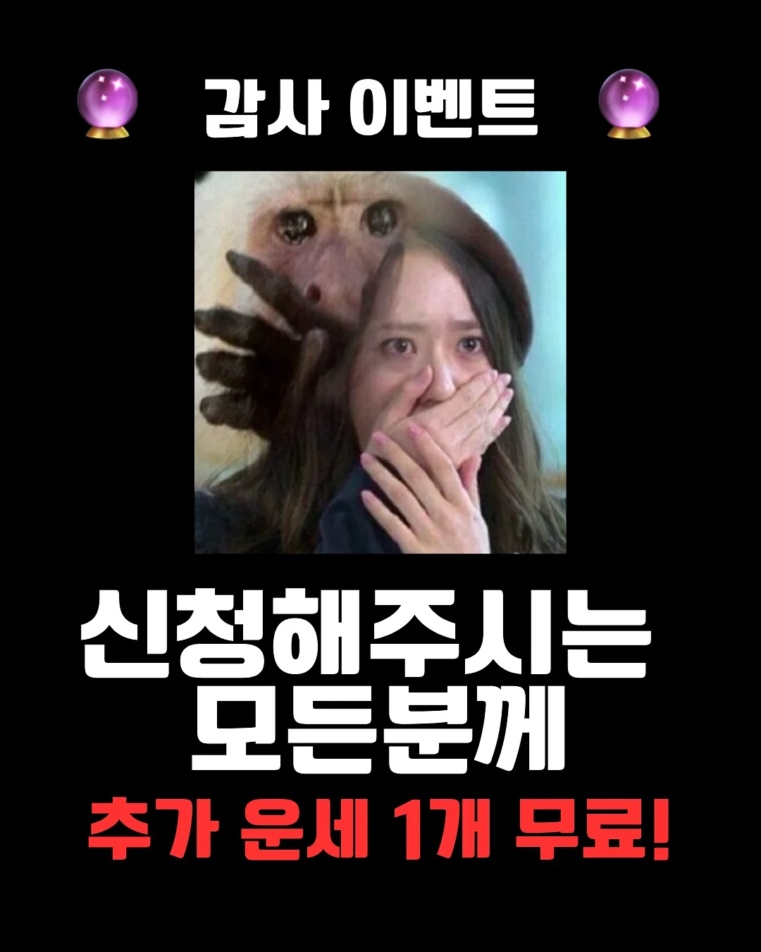 신상 2