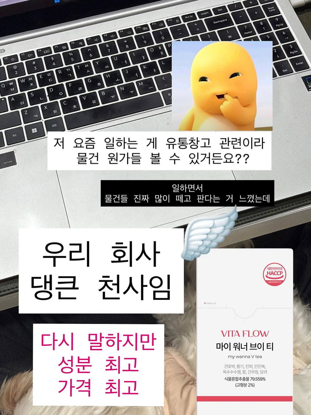 크리스마스 키티 헬륨완제품 16